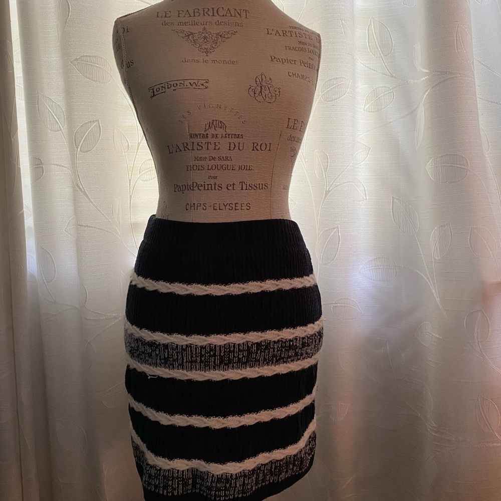 EARTH MUSIC & ECOLOGY Mini Skirt Navy & White Knit